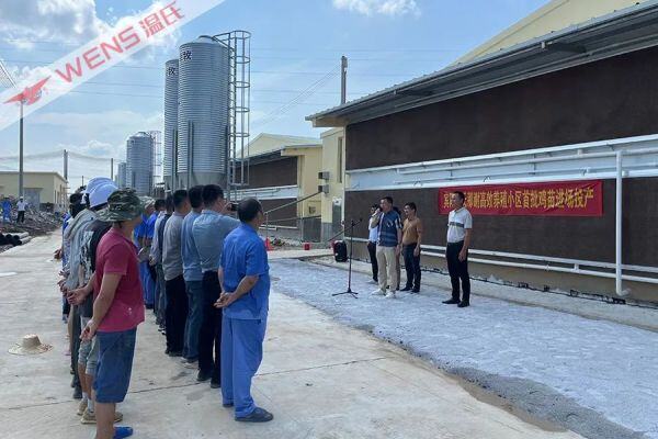 规划年出栏1053.7万羽！宾阳温氏那谢高效养殖小区进苗投产