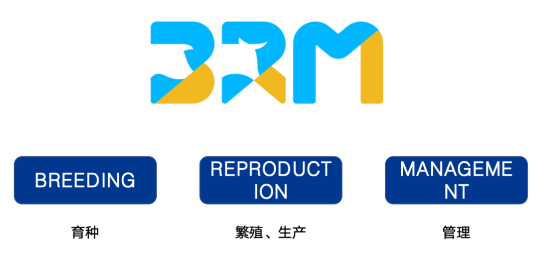 百年马拉松，狂热魅力依旧！三生养殖生产管理学院（BRM）打造畜牧业“马拉松”新赛道