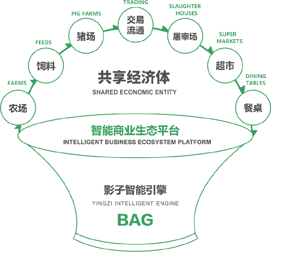 官宣：深圳数影8月28日与您相约2024 AGIC深圳（国际）通用人工智能大会暨产业博览会