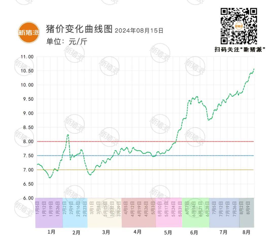 8月15日：震蕩調(diào)整，山東、安徽、江蘇等多地小幅上漲，廣東最高11.14元/斤【瑞普生物·豬價指數(shù)】