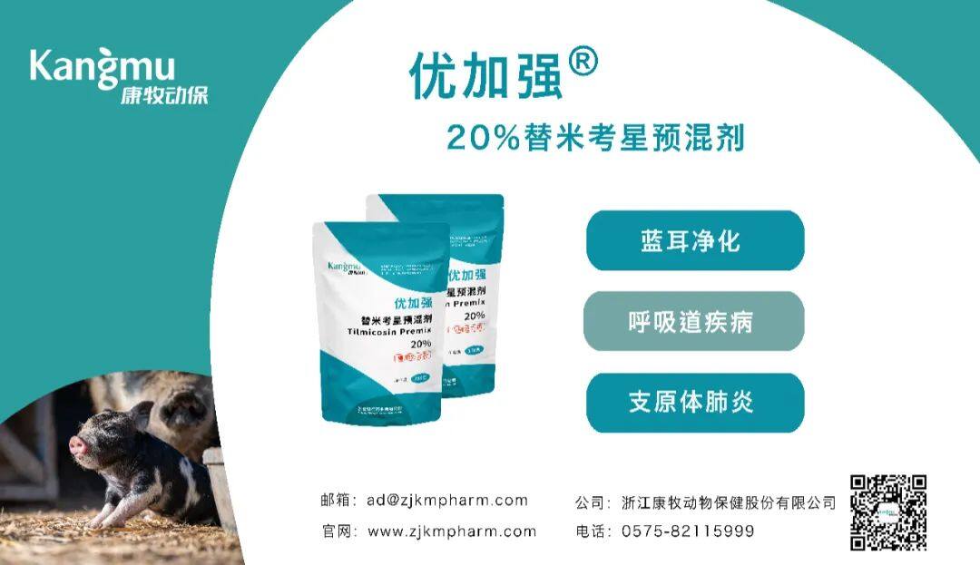 母猪南下！四川369万头、云南280万、广东193…山东、河北逐渐成为专业育肥区