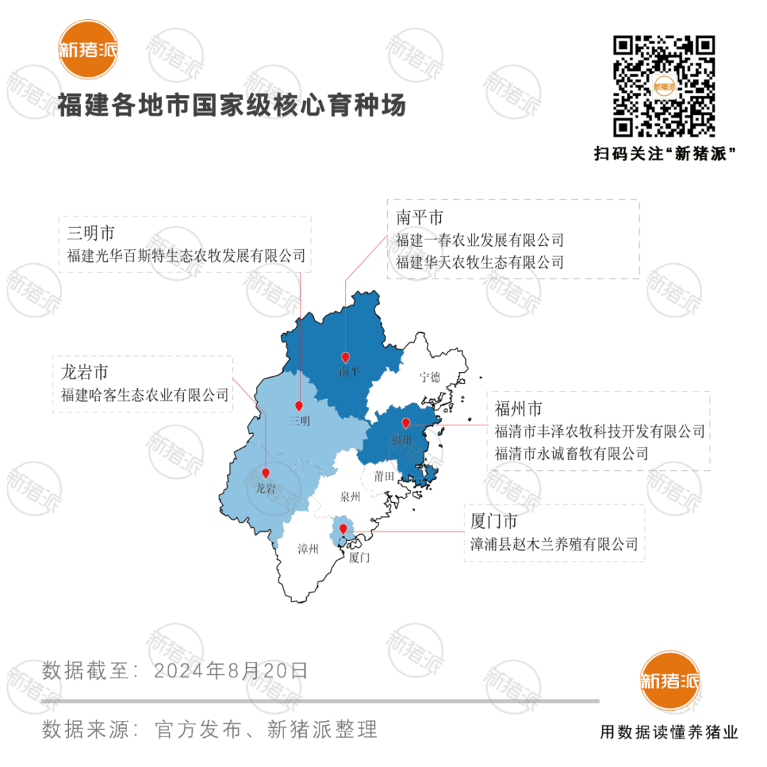 福建打造高健康度种猪新高地：158家蓝耳双阴场全国第一