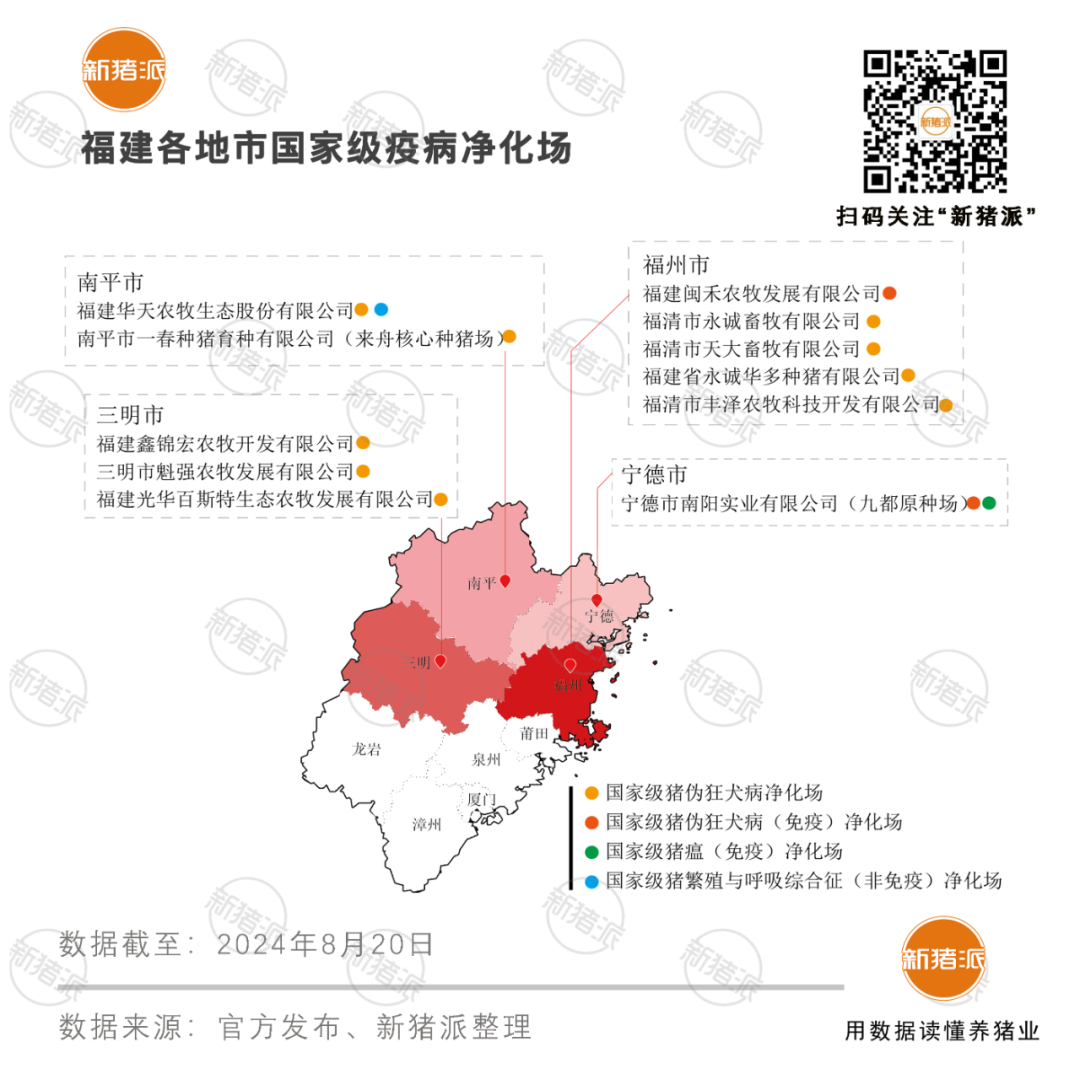 福建打造高健康度种猪新高地：158家蓝耳双阴场全国第一