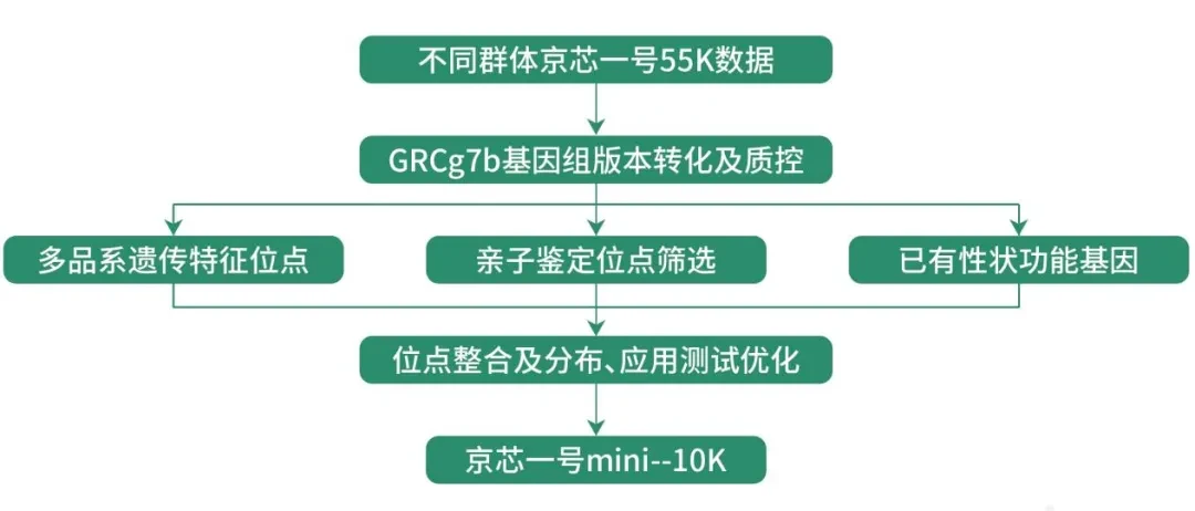 “京芯一号mini”芯片+数字化肉鸡联合育种平台——我国肉鸡育种产业新的里程碑