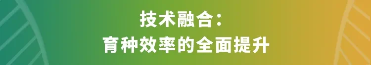 “京芯一号mini”芯片+数字化肉鸡联合育种平台——我国肉鸡育种产业新的里程碑