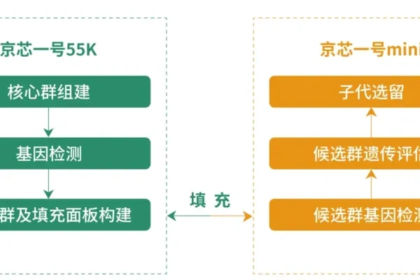 “京芯一号mini”芯片+数字化肉鸡联合育种平台——我国肉鸡育种产业新的里程碑