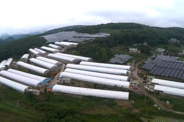 贵州息烽将新增200万羽肉鸡年产能！2025年目标年出栏2000万羽！