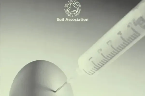 国际食品法典修订鸡蛋中兽药标准,暴露我国监控空白点......