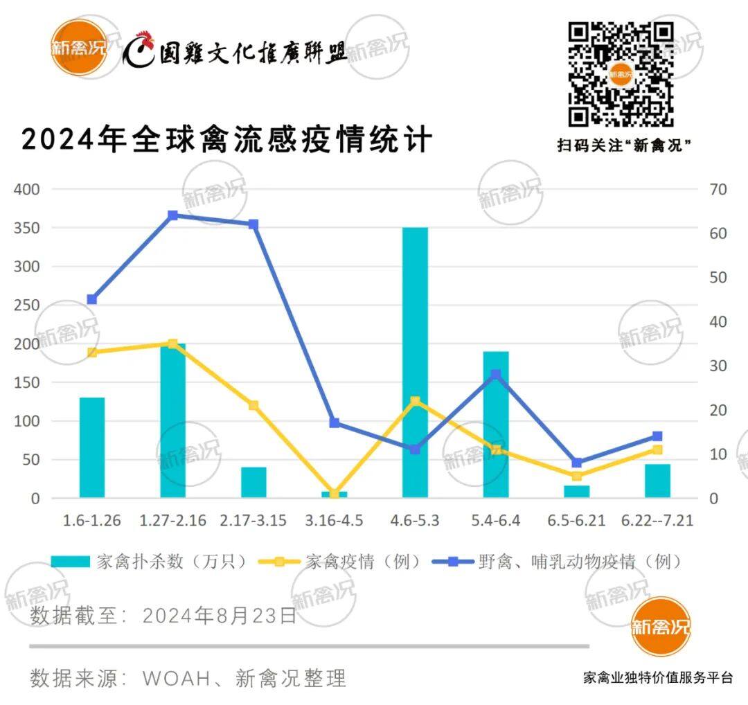 邻国1人感染H5N1死亡，47国已扑杀家禽1000万只！禽流感卷土重来，养鸡户应如何防控？