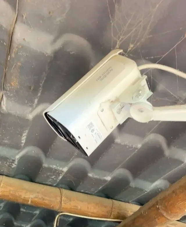 智慧养殖新模式——AI助力养鸡?