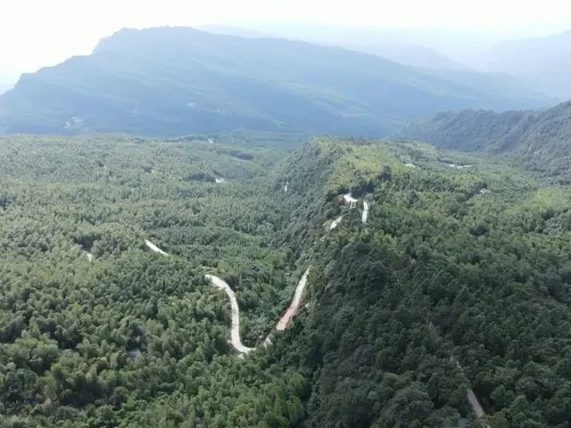 智慧养殖新模式——AI助力养鸡?