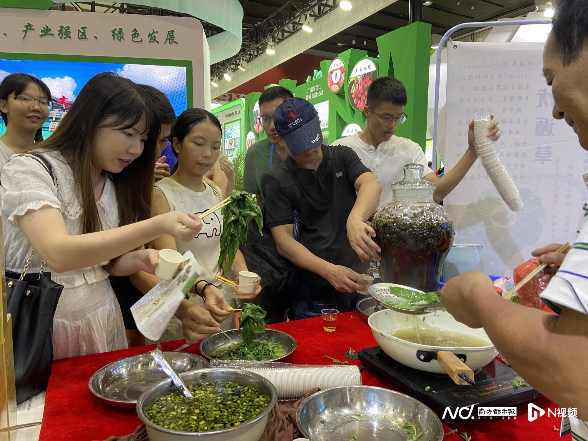 “鸡中茅台”每只售价超千元，南沙葵花鸡亮相广博会