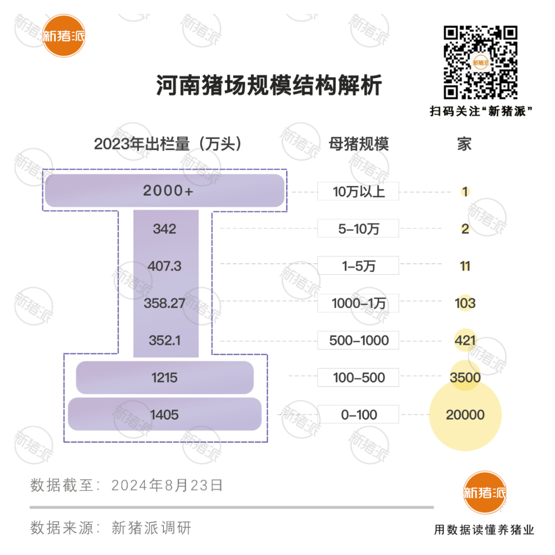 非瘟一役，河南万头猪场仅存14家！“中腰部”猪企覆灭，产业格局形成“工”字结构