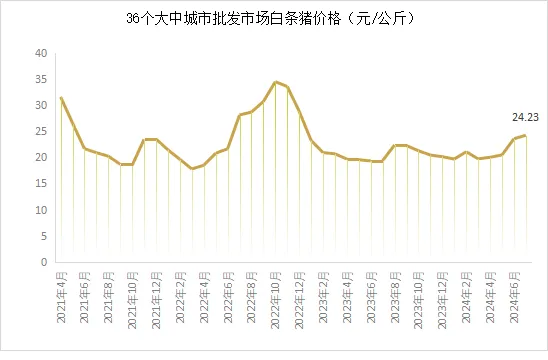 白条猪价格