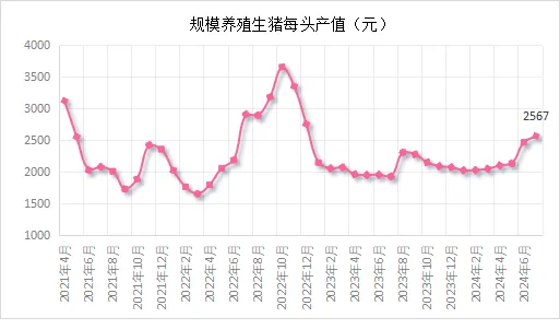 规模养殖生猪每头产值