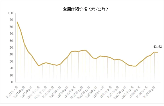 仔猪行情