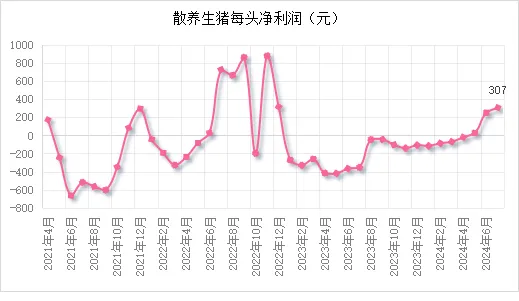 散养生猪每头净利润 