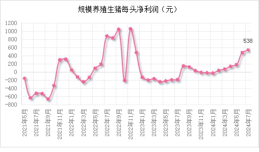 规模养殖生猪每头净利润