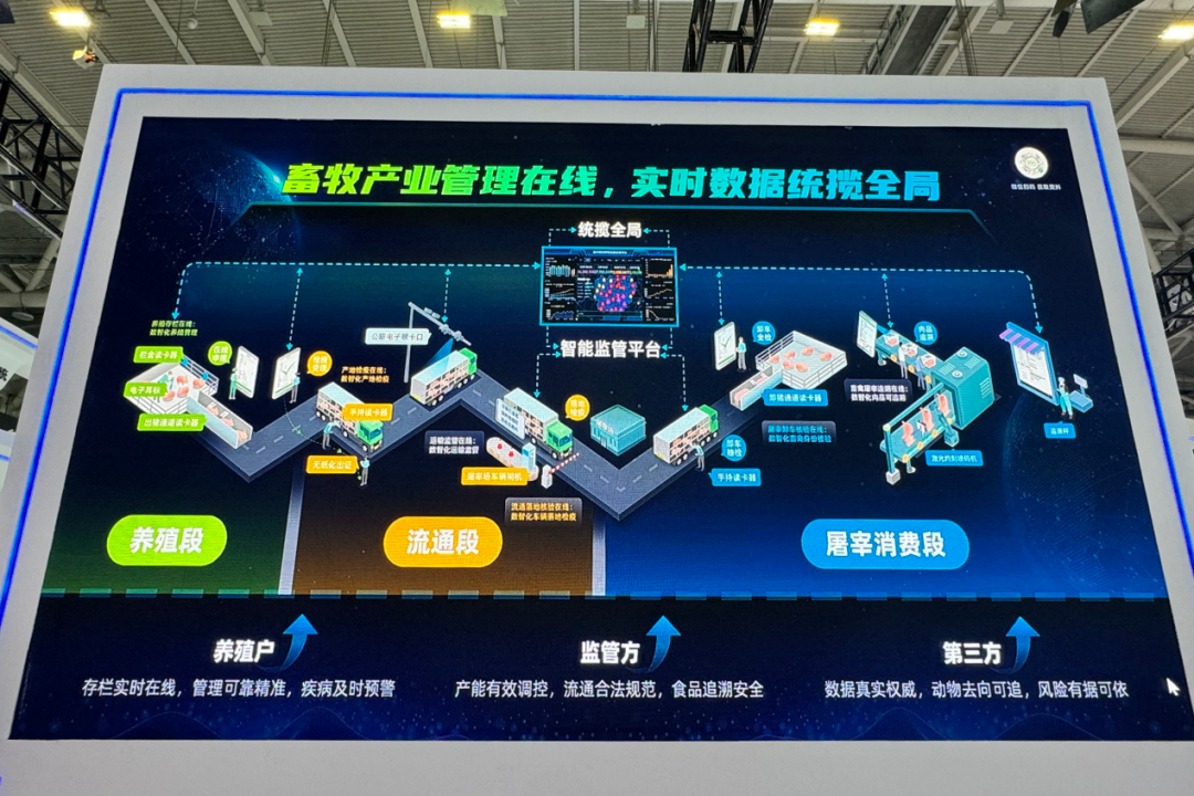 AI引领畜牧新纪元！数影科技携“FPF未来猪场”重磅亮相2024AGIC大会，现场人气爆棚