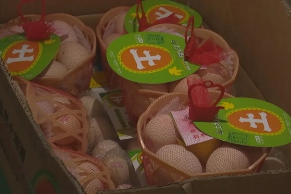 土大妈鸡蛋获准出口欧盟！我国非笼养鸡蛋出海新突破