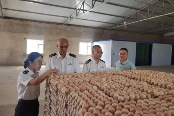 山西沂州非笼养鸡蛋实现出口！永奥农业3.6万枚鲜蛋供应澳门