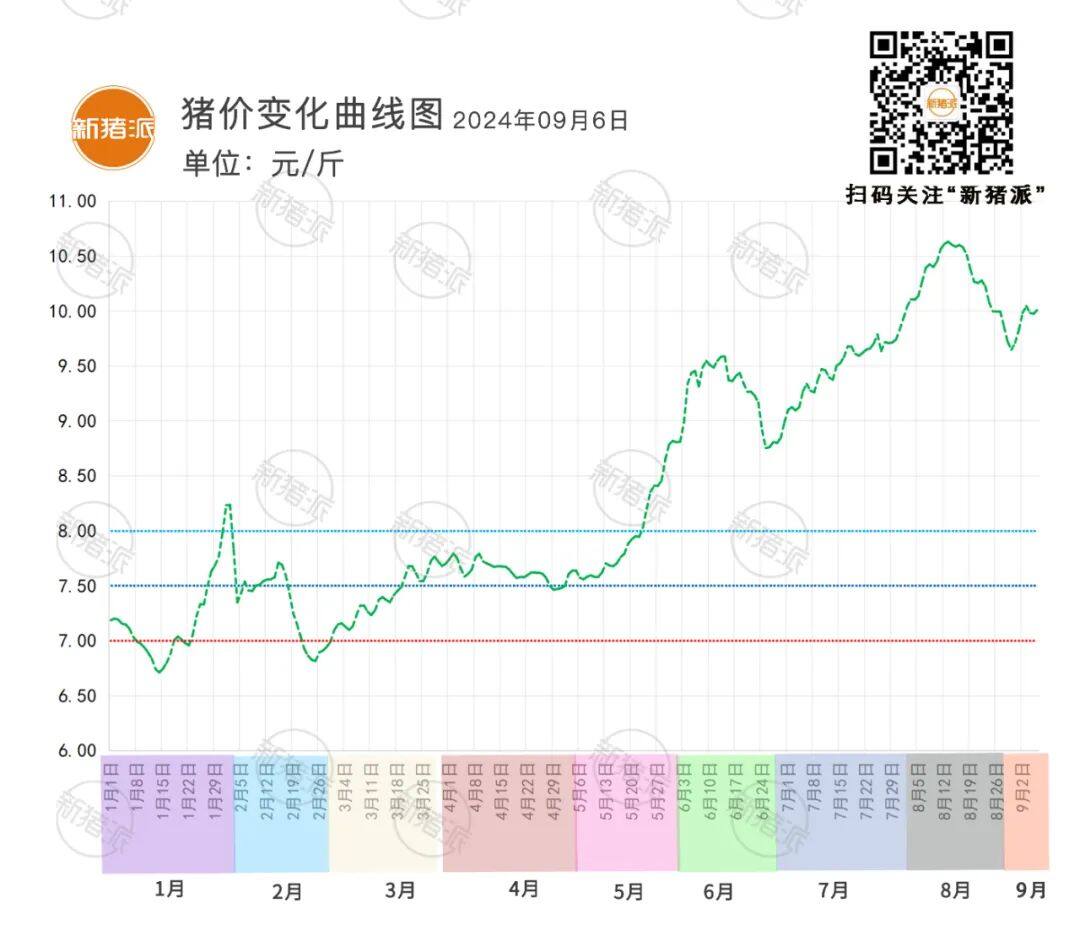 9月6日：小幅反弹，全国均价再度破10，河南、湖北、安徽多地上涨【瑞普生物·猪价指数】