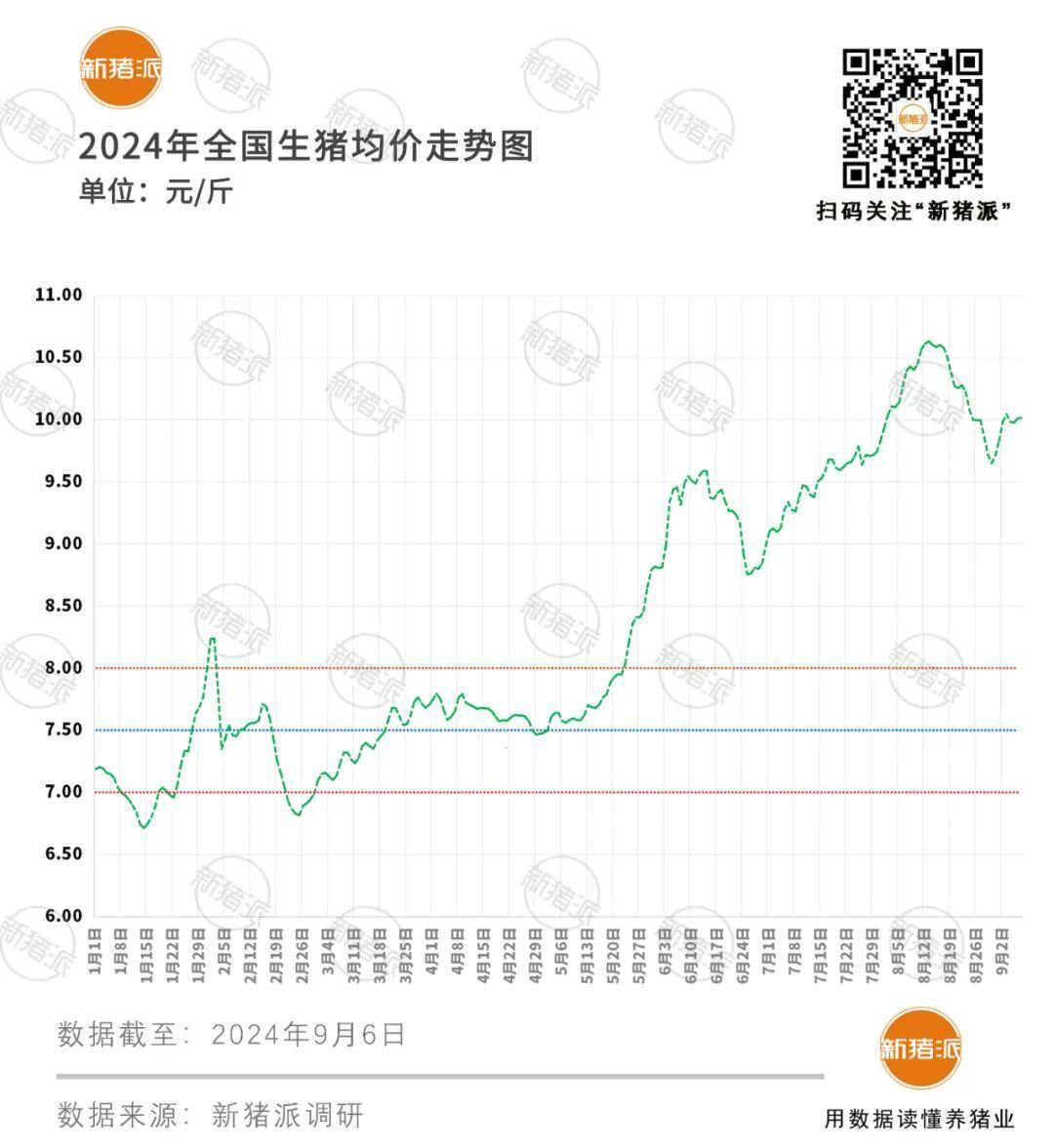 四季度或将涨至12元/斤?8月头均盈利648元,9月继续保持高位运行