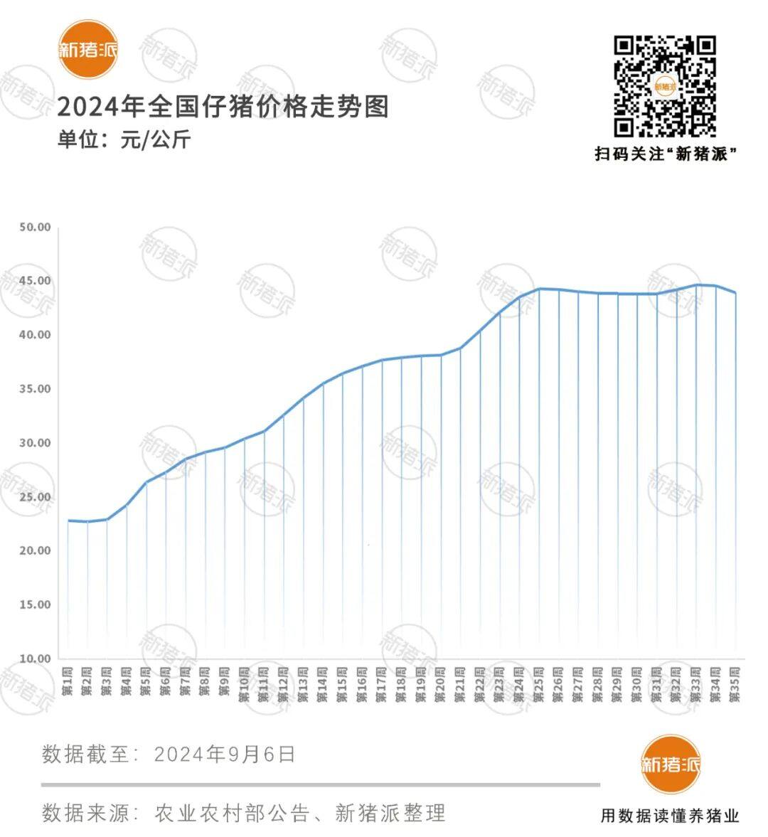 四季度或将涨至12元/斤？8月头均盈利648元，9月继续保持高位运行