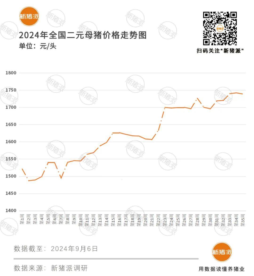 四季度或将涨至12元/斤?8月头均盈利648元,9月继续保持高位运行
