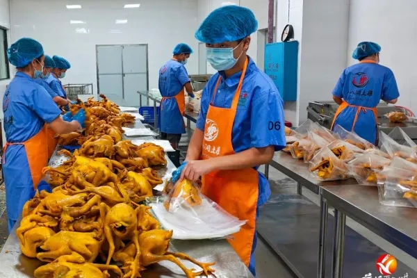 湖南金嘎嘎农业：日加工土鸡6000只，年产熟食1500吨