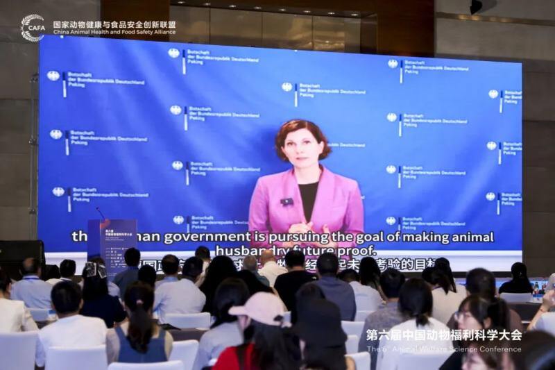 第六届中国动物福利科学大会成功召开，全球410名动物福利专家、学者、从业者参会