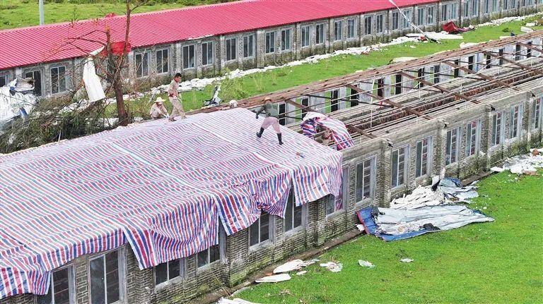 死鸡1320万只！文昌鸡日涨2.5元/斤、1.6万鸡农无鸡可卖