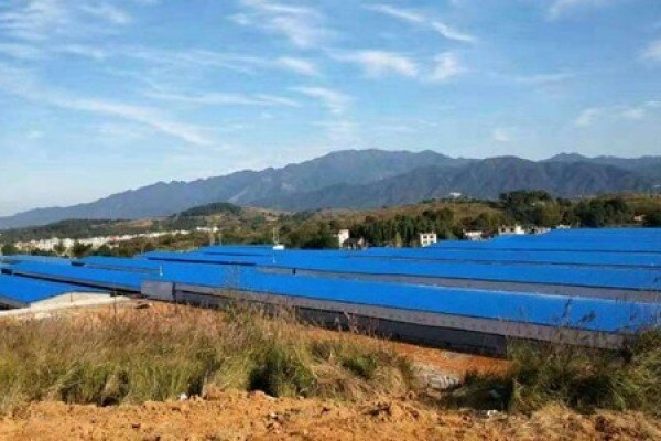 湖南武冈温氏建设标准化鸡舍近40万平方米，年出栏肉鸡1005万羽！