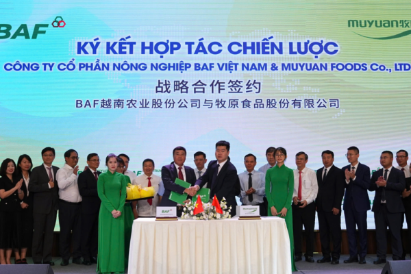 目标年出栏1000万头！越南BAF公司将引进牧原楼房养猪模式