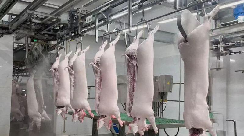 三大盛会！扬翔系列美食惊艳亮相广东、广西