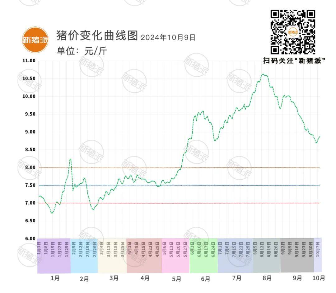 10月9日：行情向好！11省猪价飘红，4省止跌，广东最高9.29元/斤【三仪特约·猪价指数】