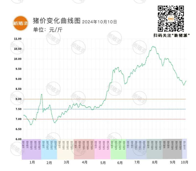 10月10日：猪价5连涨，均价逼近9元，行情一片向好！广东继续冲高9.38元/斤【三仪特约·猪价指数】