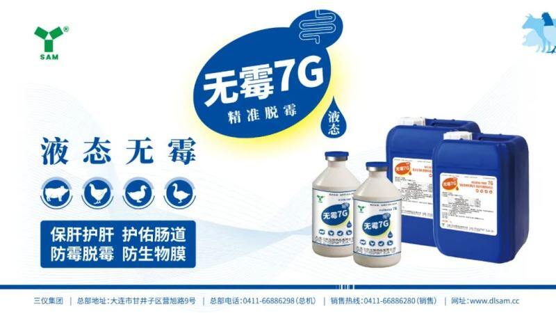 10月10日：猪价5连涨，均价逼近9元，行情一片向好！广东继续冲高9.38元/斤【三仪特约·猪价指数】