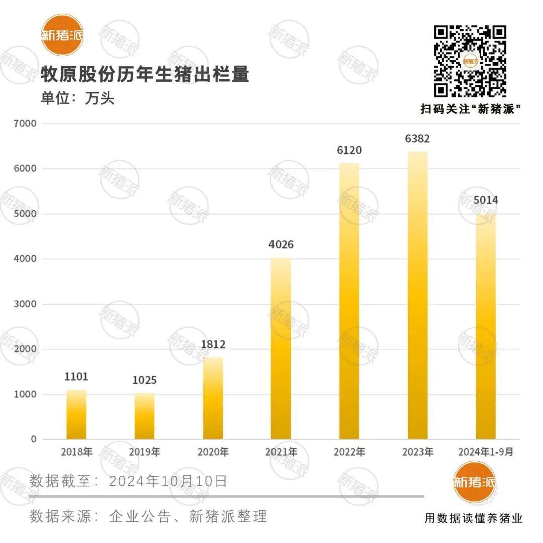 第三季度净赚超90亿元！牧原前三季度累计出栏生猪5014万头，8月生猪养殖完全成本降至6.85元/斤