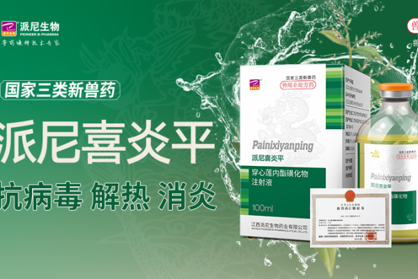 仔猪跌破成本线VS猪价喜迎7连涨，市场价格冰火两重天！后市怎么看？【派尼生物特约·数说猪业】