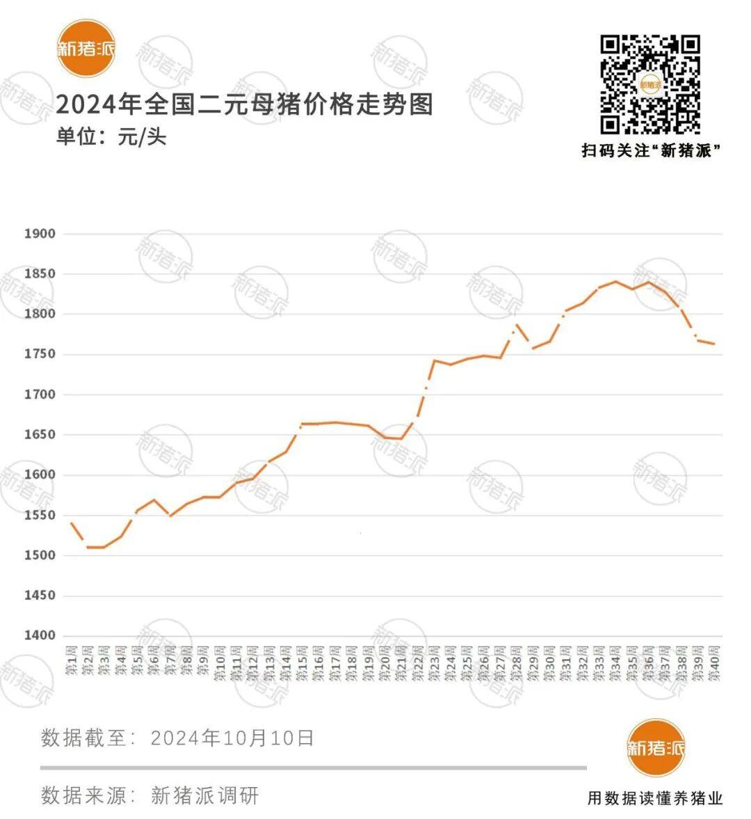 仔猪跌破成本线VS猪价喜迎7连涨，市场价格冰火两重天！后市怎么看？【派尼生物特约·数说猪业】