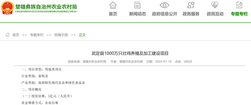 年出栏1000万只肉鸡!云南武定拟招商引进大型壮鸡养殖项目
