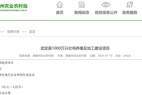 年出栏1000万只肉鸡！云南武定拟招商引进大型壮鸡养殖项目