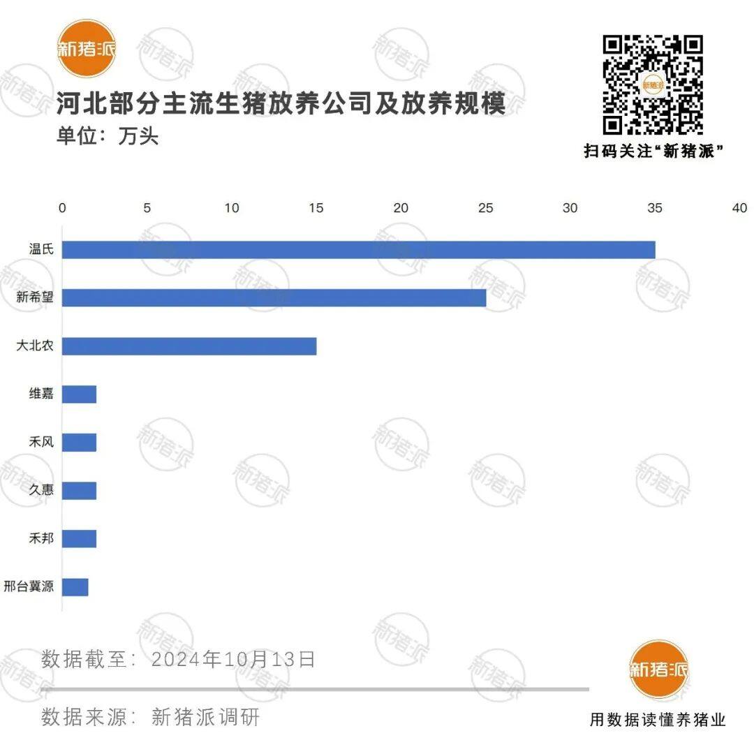 5年散户减少57万！河北向专业育肥转型，主流放养公司温氏、新希望、大北农等，年出栏已达10万头以上