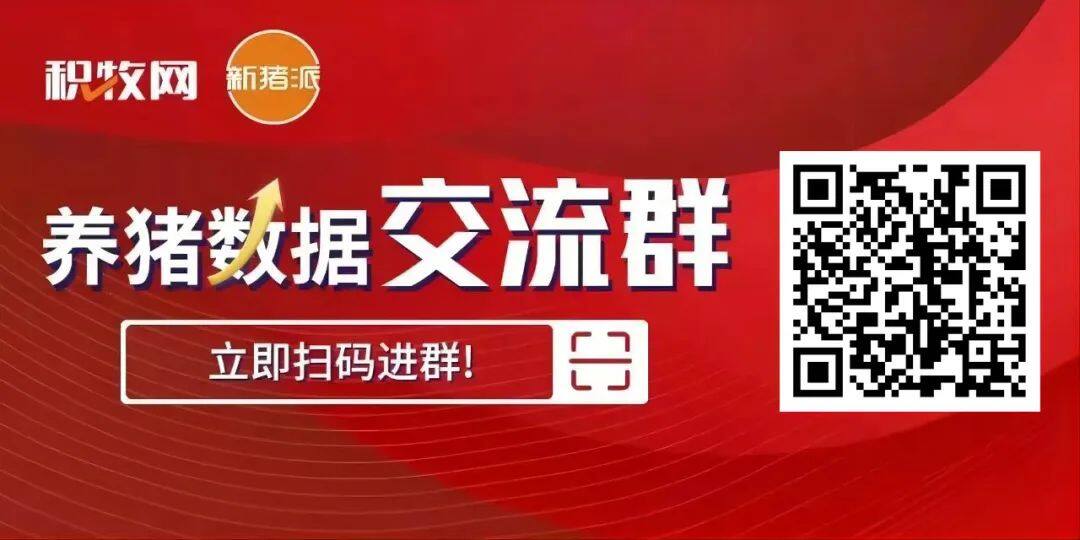 5年散户减少57万！河北向专业育肥转型，主流放养公司温氏、新希望、大北农等，年出栏已达10万头以上