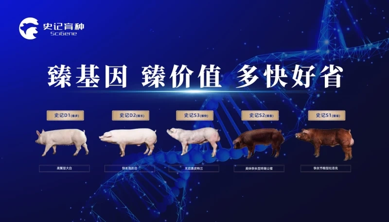 【史记生物】与您相约 第五届（2024）新猪派养猪产业峰会