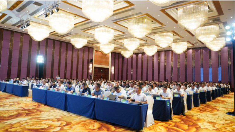 养猪业新质生产力革命趋势下，如何打造“6元成本”迎接挑战？