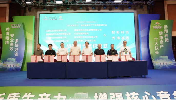 养猪业新质生产力革命趋势下，如何打造“6元成本”迎接挑战？