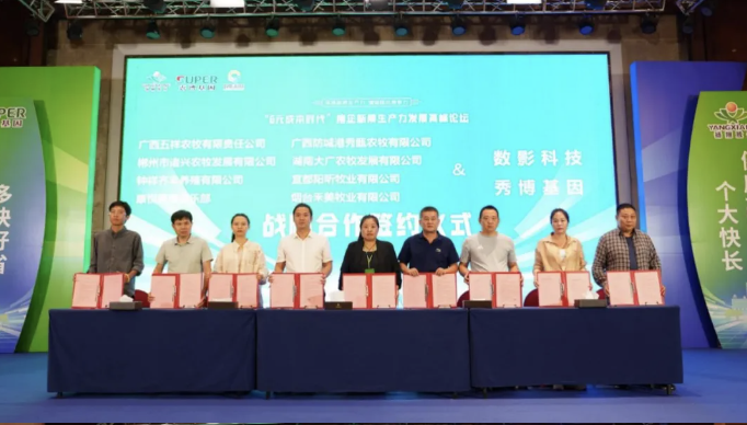 养猪业新质生产力革命趋势下，如何打造“6元成本”迎接挑战？