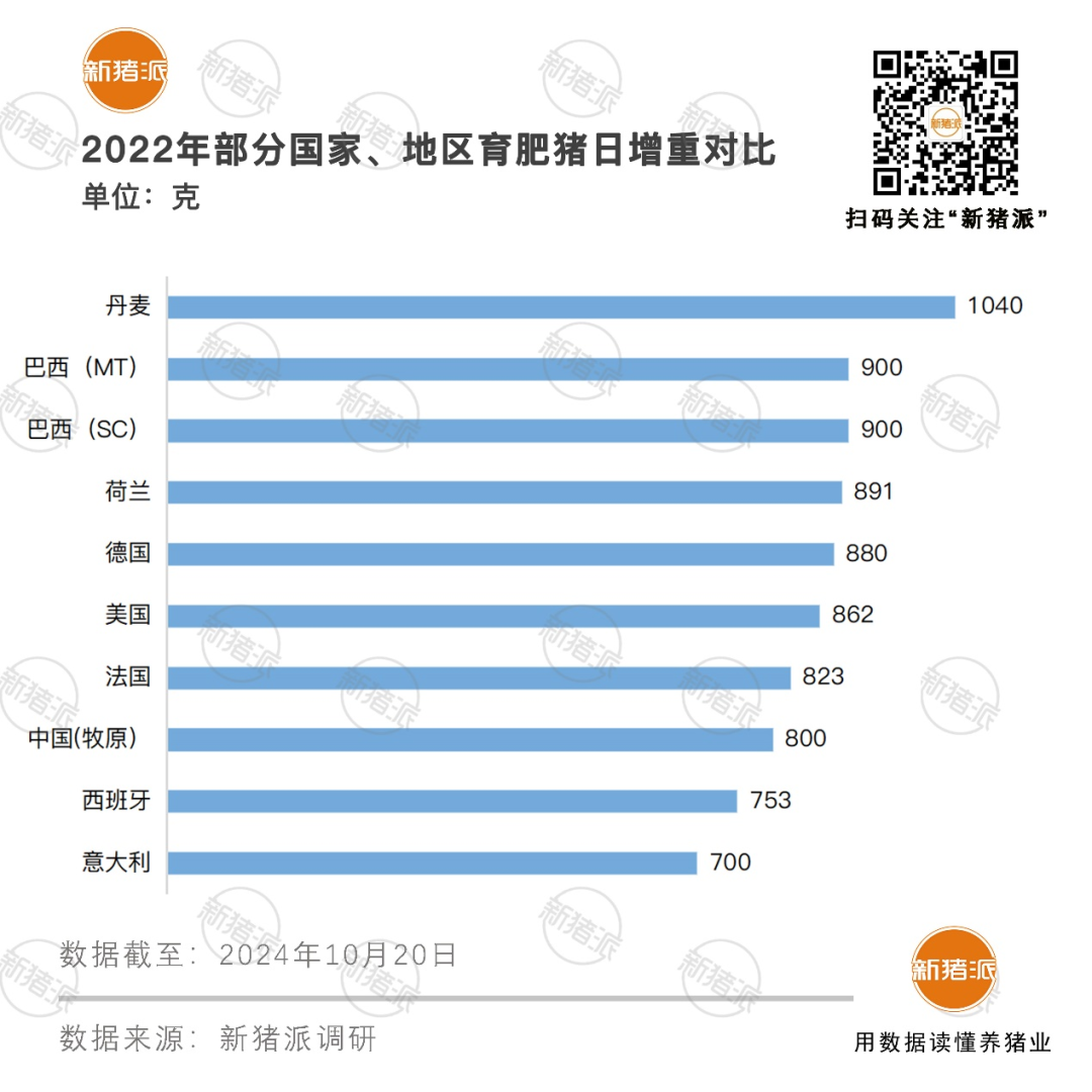 全球养猪成绩对比：俄罗斯成本8.43元/kg最低，丹麦PSY34.14头最高，中国母猪规模第一、进步空间大